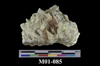 藏品(硫磺)的圖片